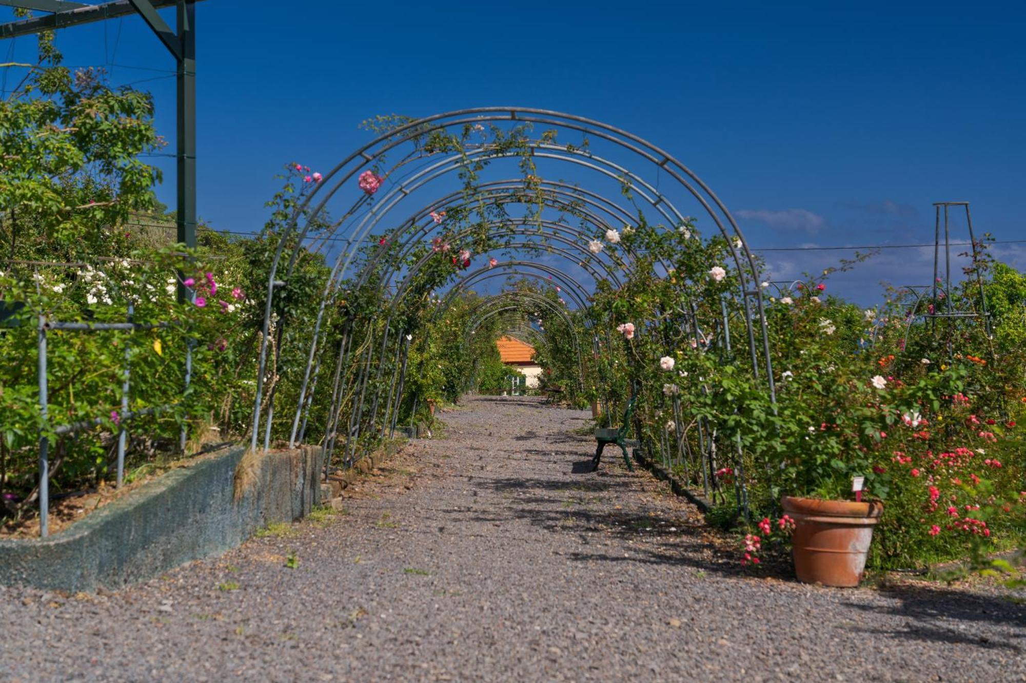 Pestana Quinta Do Arco Nature & Rose Garden Hotel Arco de Sao Jorge Bagian luar foto