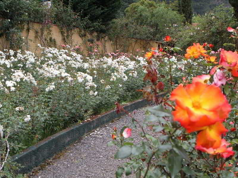 Pestana Quinta Do Arco Nature & Rose Garden Hotel Arco de Sao Jorge Bagian luar foto